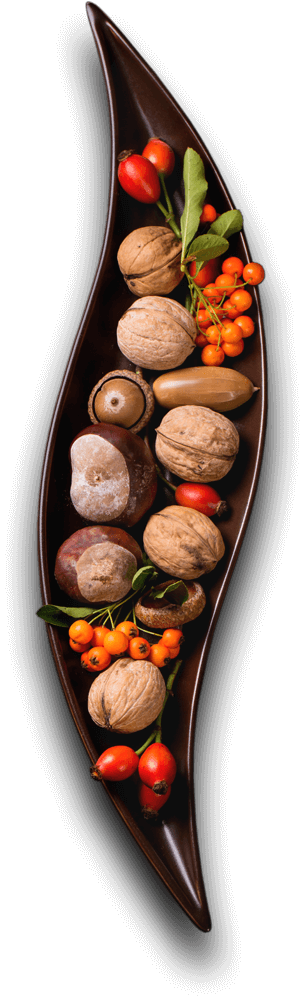 Royal Plate - Restaurant & Catering HTML Template