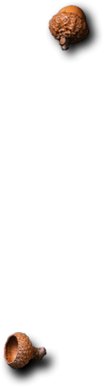 Royal Plate - Restaurant & Catering HTML Template