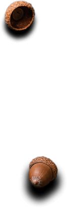 Royal Plate - Restaurant & Catering HTML Template