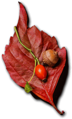 Royal Plate - Restaurant & Catering HTML Template